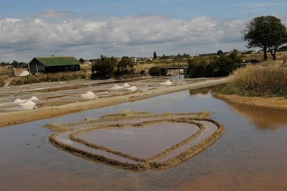 Le double coeur, symbole de la Vendée Vendée: le double coeur, symbole de la Vendée